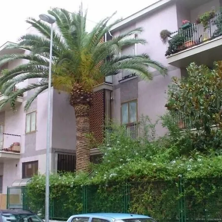 Gatto Bianco Picone 19 בארי