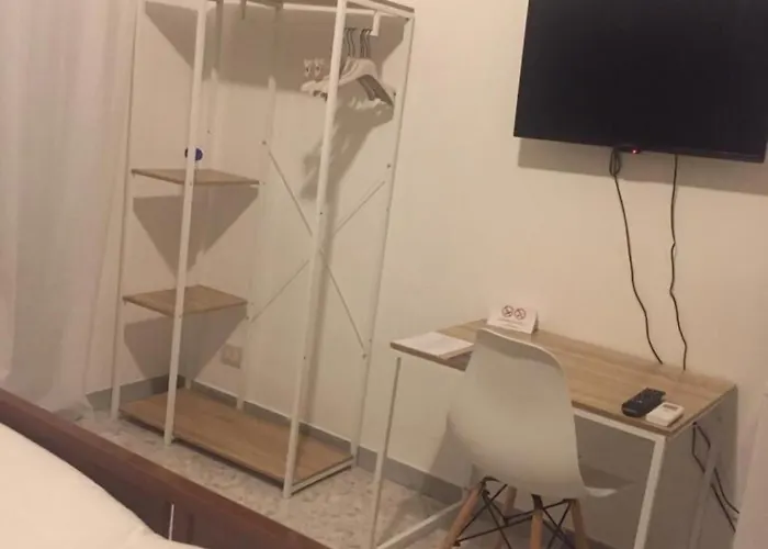 Gatto Bianco Picone 19