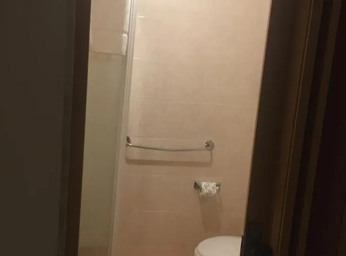 Gatto Bianco Picone 19 3*