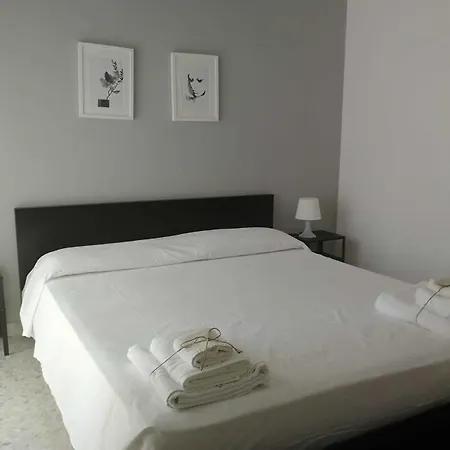 Gatto Bianco Picone 19 Bari